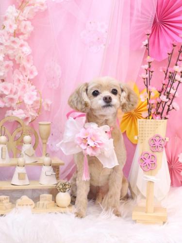 20250302ブランくん